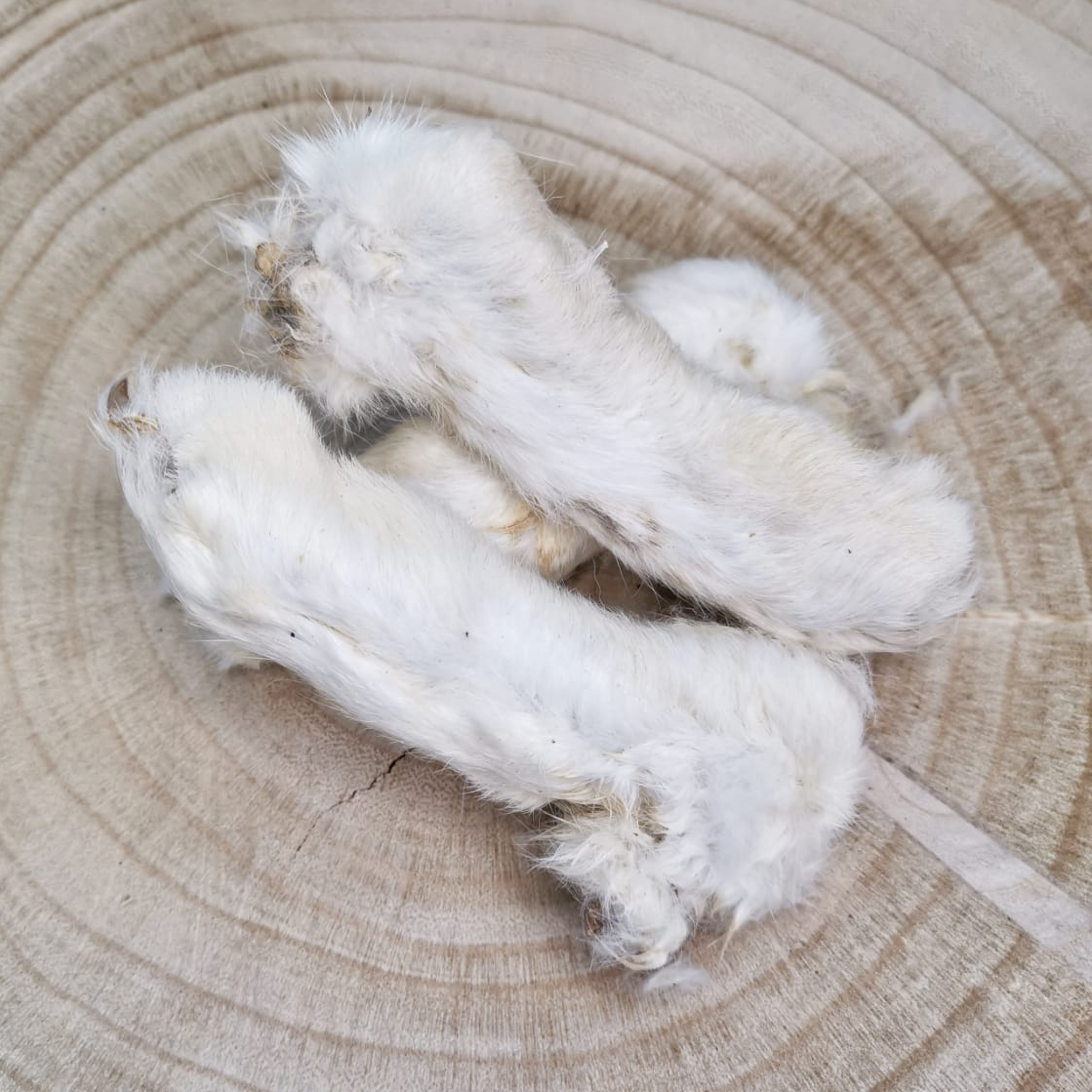 Rabbit Feet